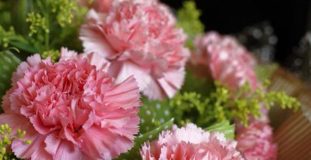 粉色康乃馨的花语之美（深情厚意，温馨祝福）