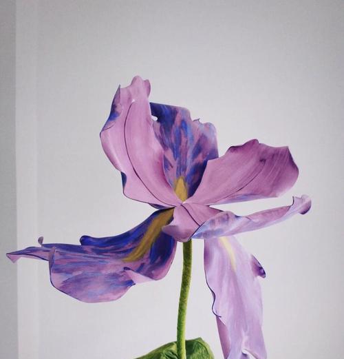 雏菊的象征意义及其在生活中的重要作用（雏菊——希望与坚韧的象征）