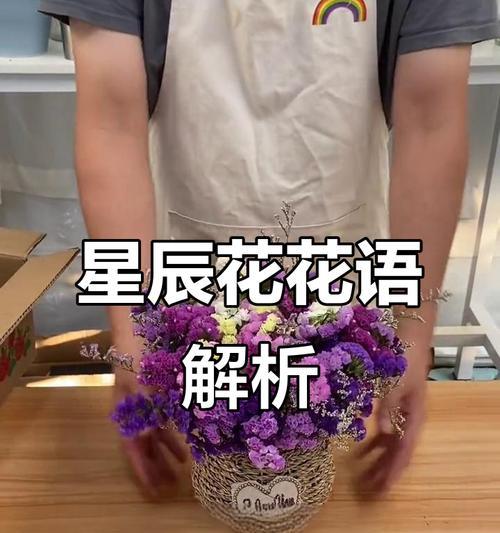 星辰花，无尽的美丽（探寻星辰花的花语与魅力）
