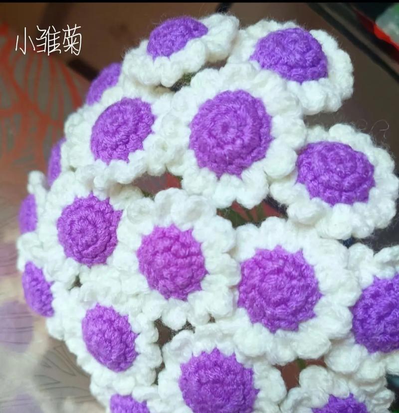 小雏菊的花语与意义（小雏菊的花语是什么？探寻这朵可爱花朵的内涵）