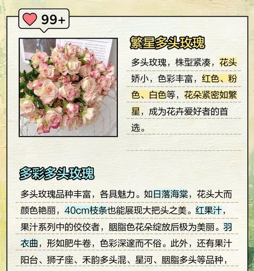 多头玫瑰九星蓝狐（探寻多头玫瑰九星蓝狐的奇妙花语）