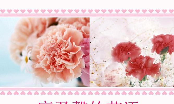 如何学习祝福花语？有哪些常见的祝福花语？