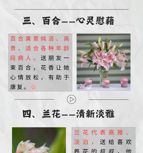 探病时送什么花好？健康平安的花语是什么？