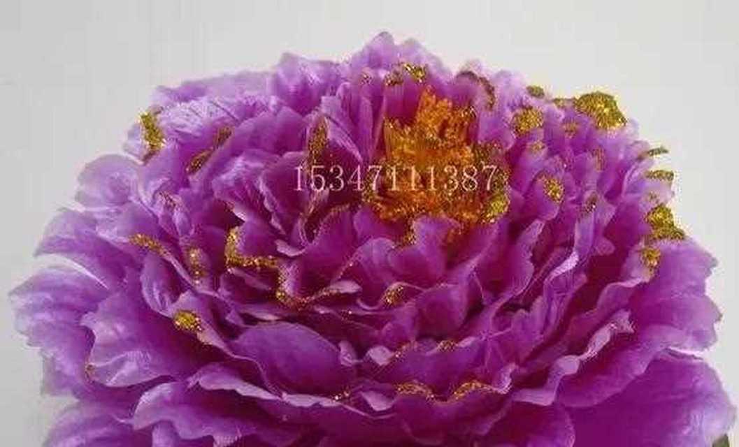 紫色牡丹花的花语是什么？它有何寓意？
