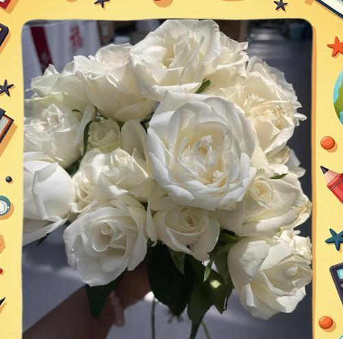 白色花的花语是什么？白色花的寓意有哪些？