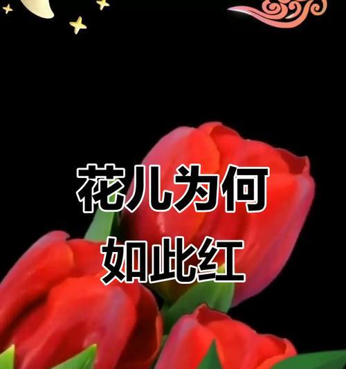 红色花在诗句中代表什么寓意？红色花卉的诗意象征有哪些？