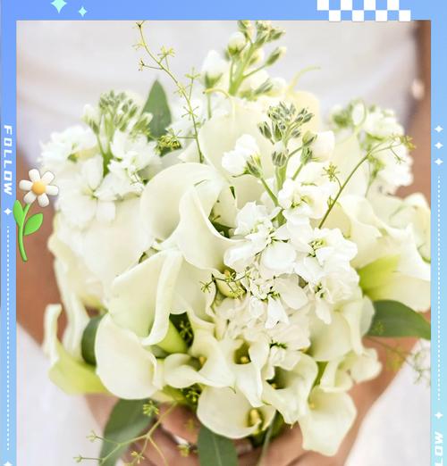 哪些手捧花象征着友谊？