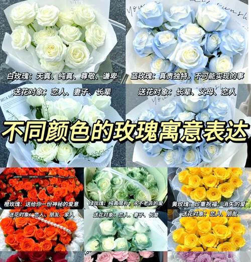 白色玫瑰与茉莉花组合的寓意是什么？