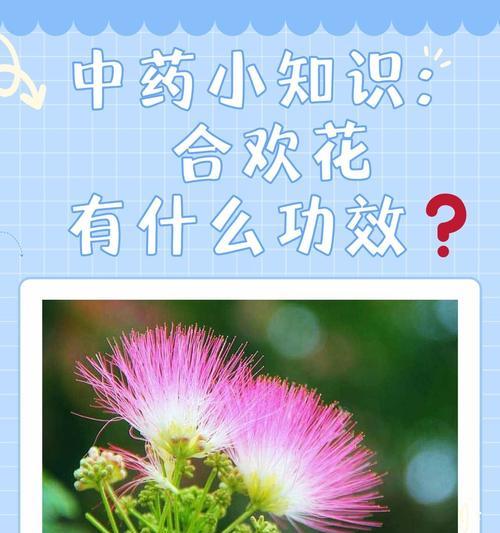 黄色夜合花的寓意是什么？夜合花有哪些特别的含义？