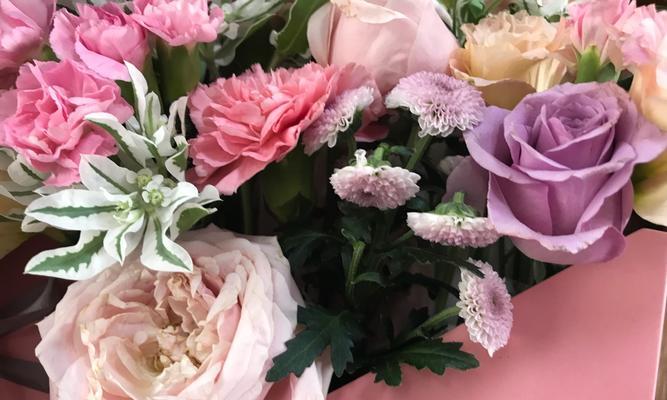 为什么教师节要送牡丹花？它有什么特别的寓意吗？