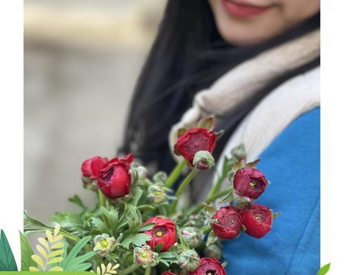 为什么教师节要送牡丹花？它有什么特别的寓意吗？