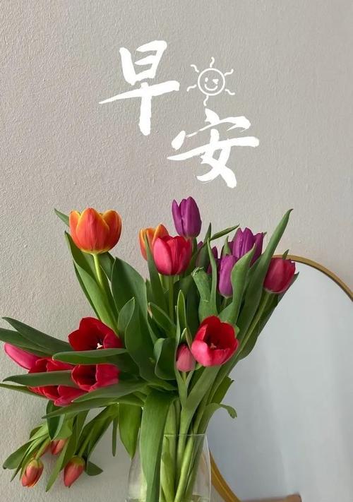 小寒节气适合送什么花？花语大全是什么？