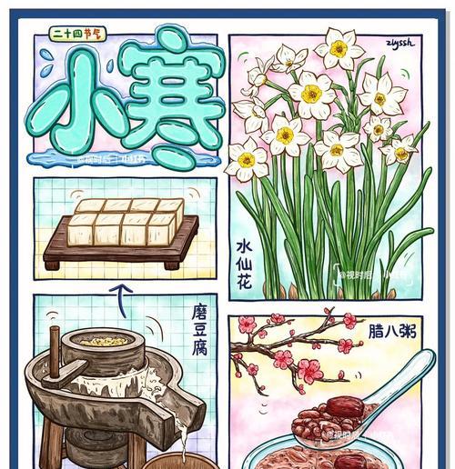 小寒节气适合送什么花？花语大全是什么？