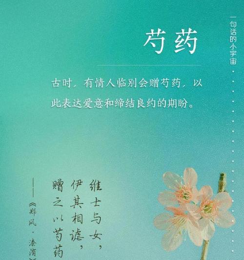 哪些植物象征爱情？如何用它们表达爱意？