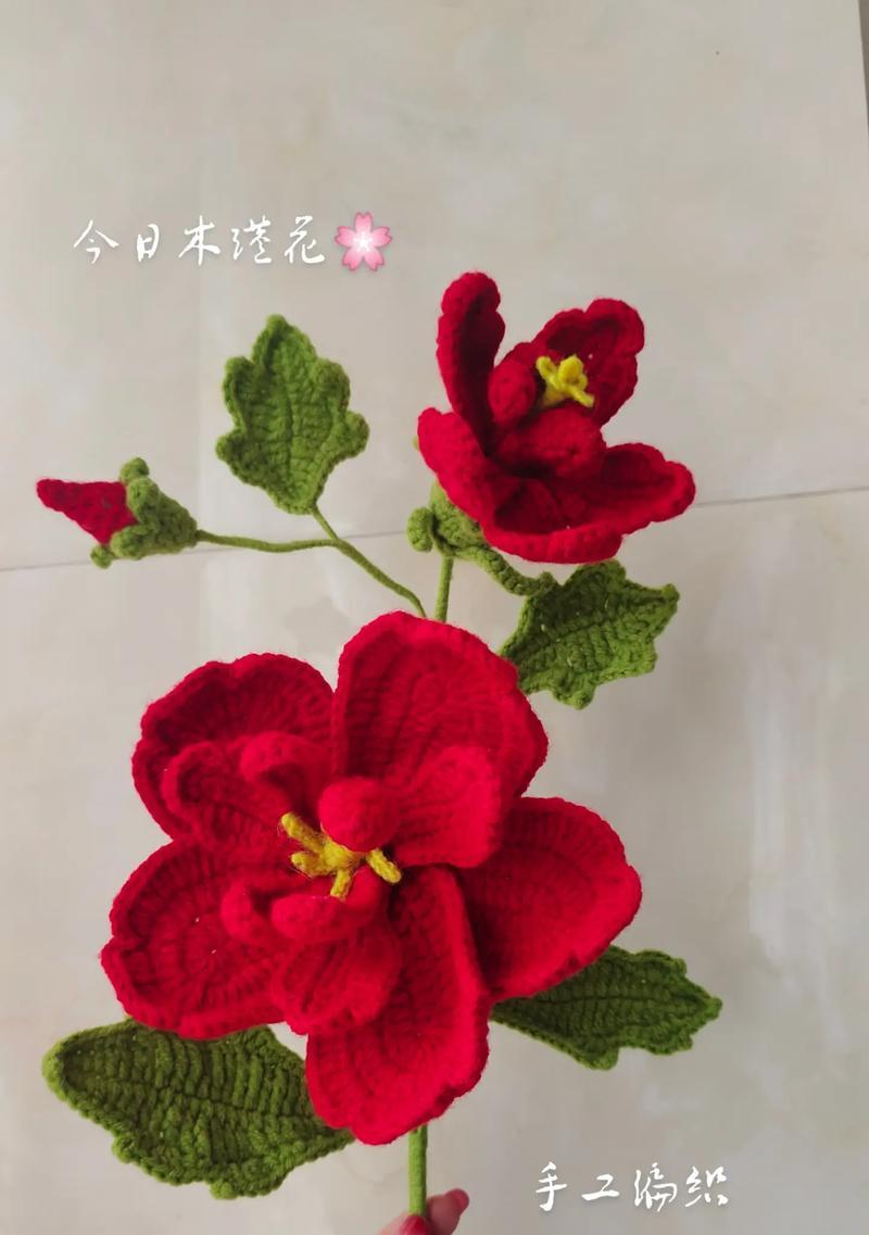 木槿花代表的爱情意义是什么？