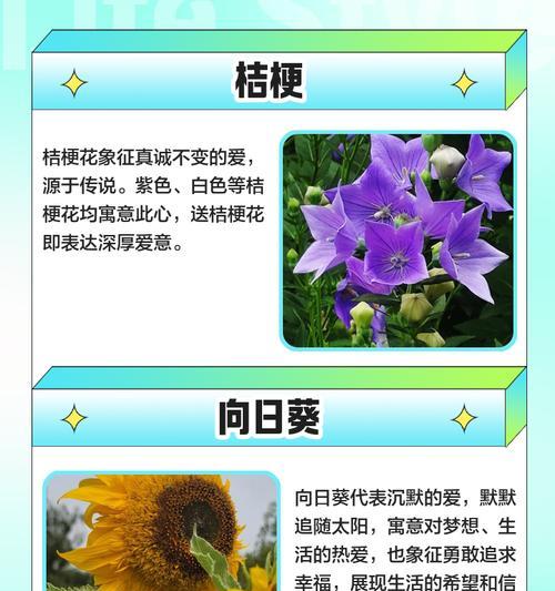 西方寓意爱情的花有哪些？它们各自代表了什么意义？