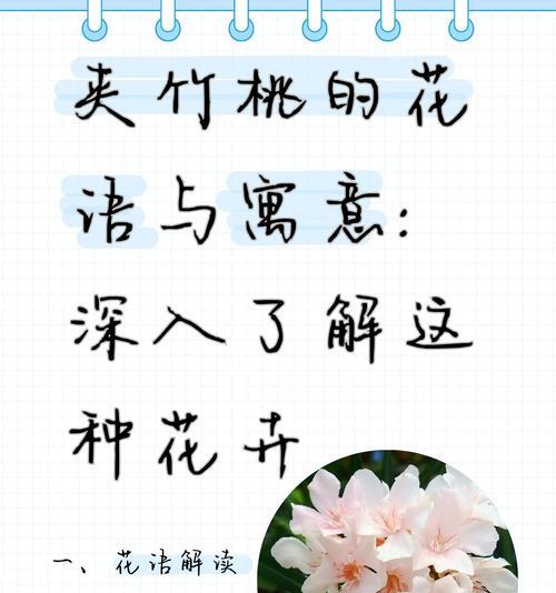 花的颜色与寓意的关系是什么？