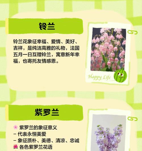 不同颜色的花隐藏着哪些含义？
