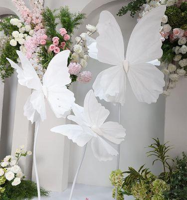 白色蝴蝶花的象征？在花艺中代表什么意义？