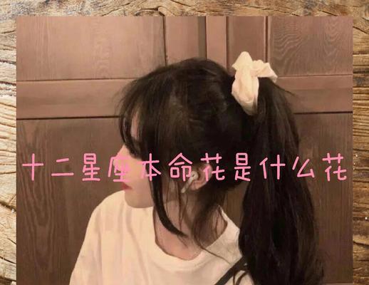哪些花对小宝贝有祝福意义？花语是什么？
