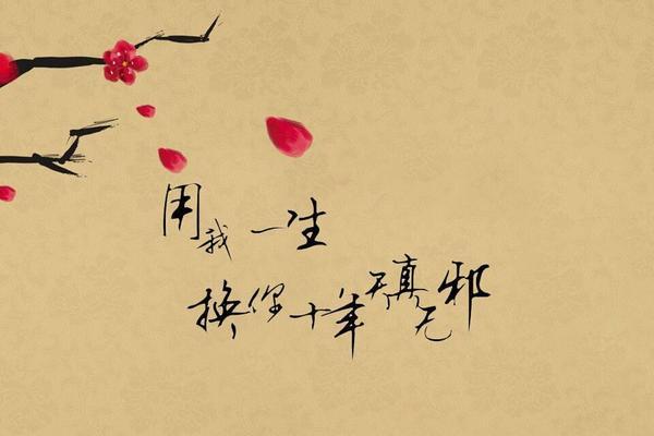 新兰浪漫花语是什么？它代表了怎样的情感？