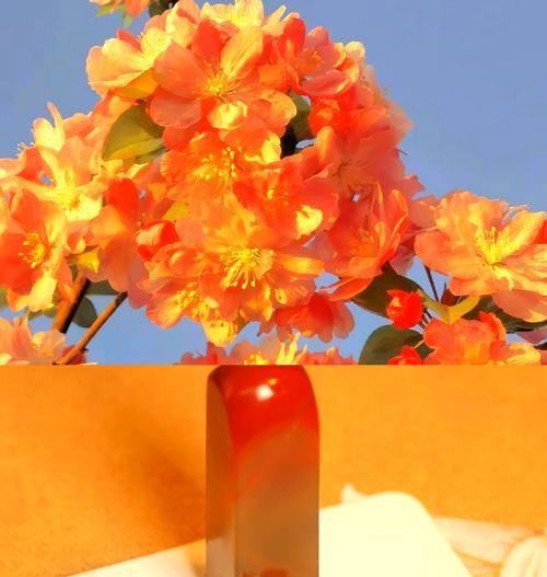 哪种花象征爱情？如何通过花表达爱情的深度和类型？