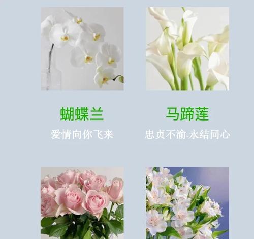 走路时送手捧花有何寓意？它象征着什么？