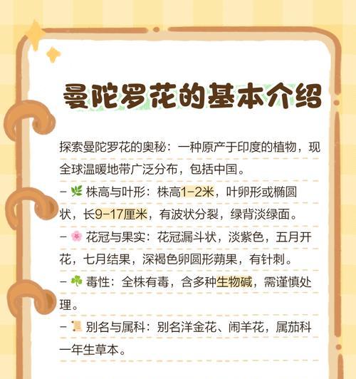 黄色曼陀罗花代表什么意义？