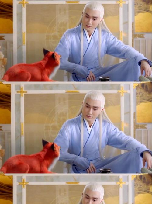 幸福狐狸幸福花代表什么？幸福狐狸花语有哪些？