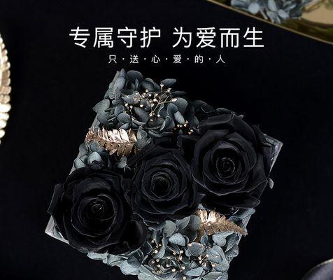 戴黑色头花的玫瑰代表什么？黑色玫瑰花的花语是什么？