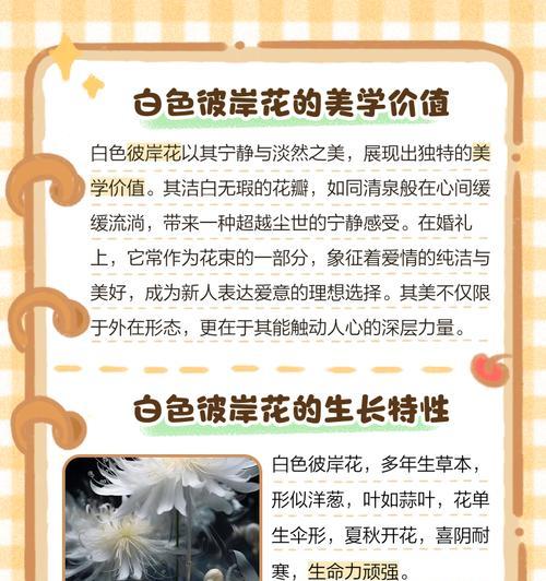 彼岸花象征着什么？彼岸花的传说和寓意是什么？