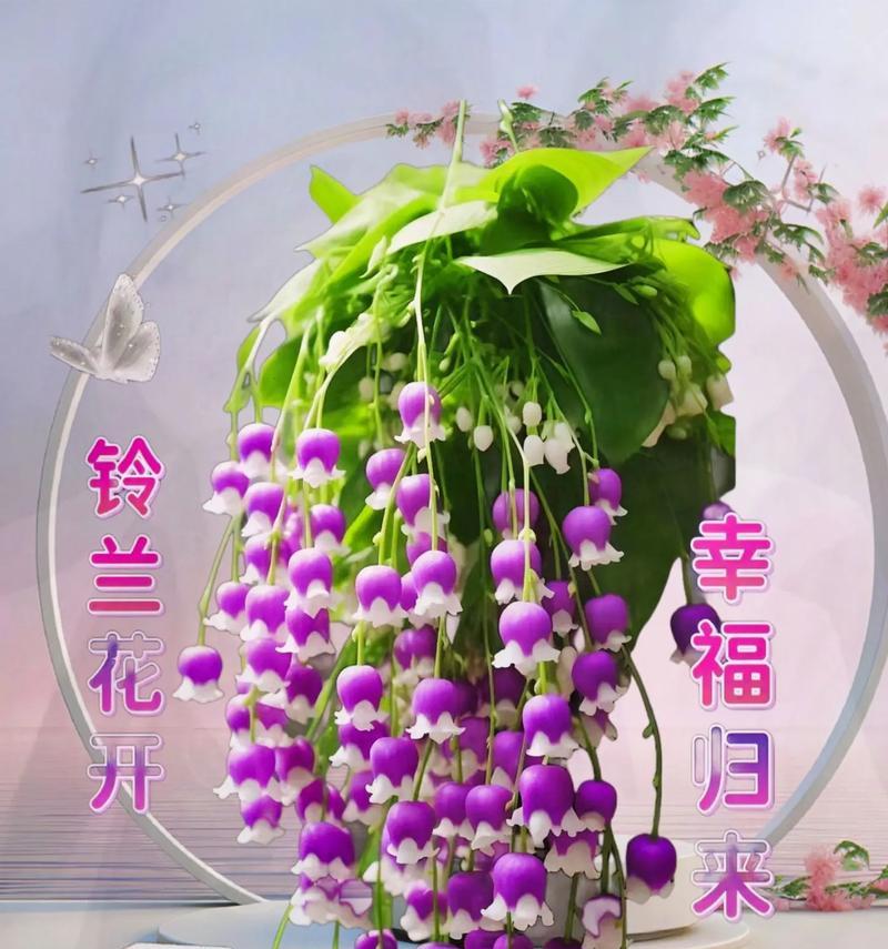 哪种花象征幸福胜利？幸福胜利的花有哪些特点？
