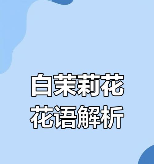 哪种白色花象征着爱？
