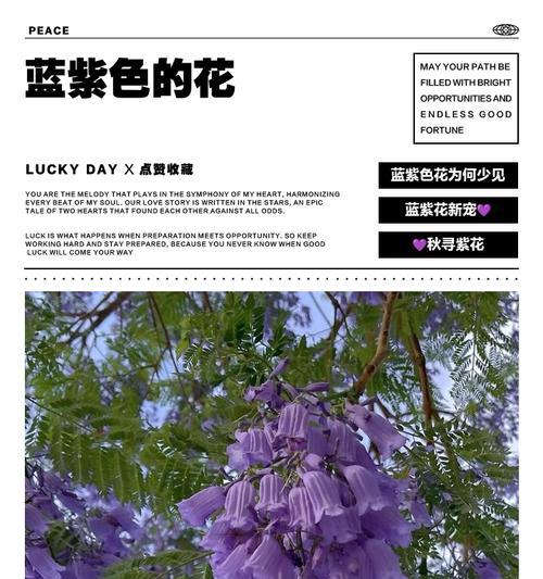 蓝紫色花象征胜利吗？