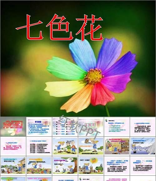 神奇七色花的寓意和象征是什么？