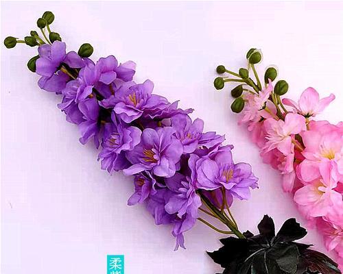 藕荷色的花象征什么？藕荷色花代表什么？