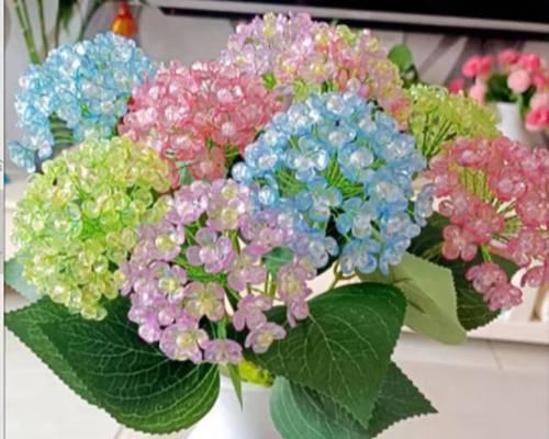绣球花颜色不同寓意有何区别？