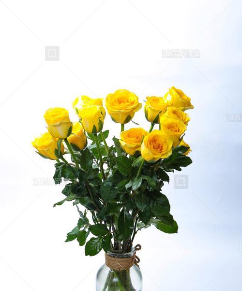 黄色玫瑰花代表什么？送黄色玫瑰有何特殊含义？