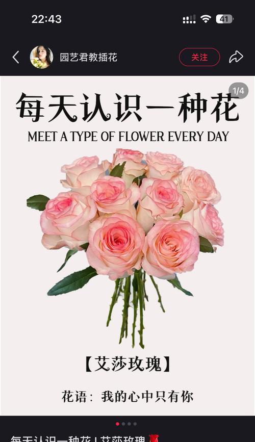 色花的花语是什么？它们代表了哪些情感？