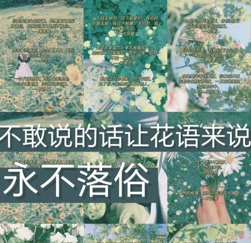 快乐的花语是什么？