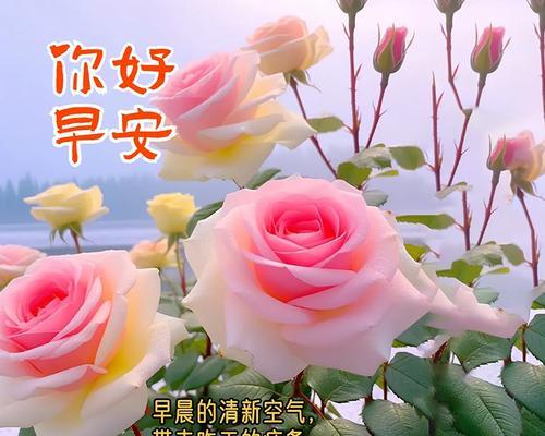 快乐的花语是什么？