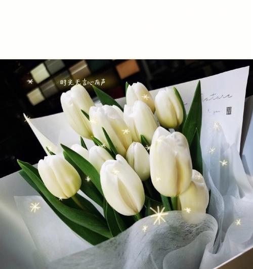 白色碎花的花语是什么？它们在装饰中代表什么意义？