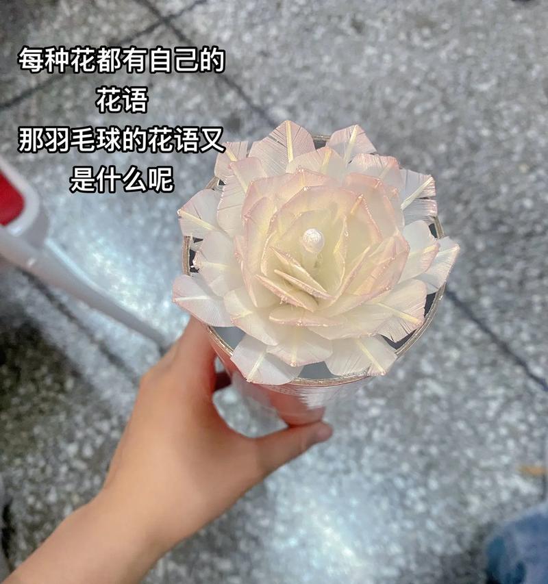 白色永生花象征着什么？