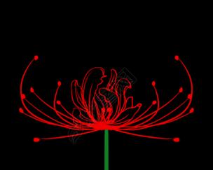 彼岸花的含义红色是什么？彼岸花有哪些寓意？