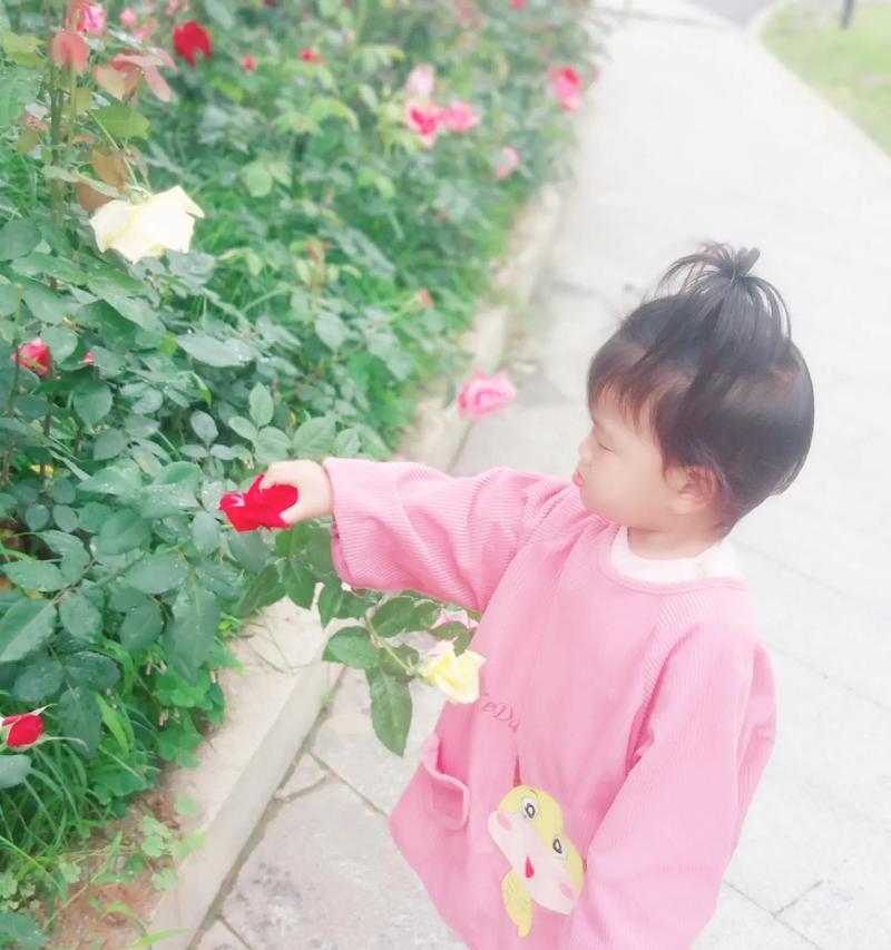 等待幸福的花语是什么？幸福来临前的花语是什么？