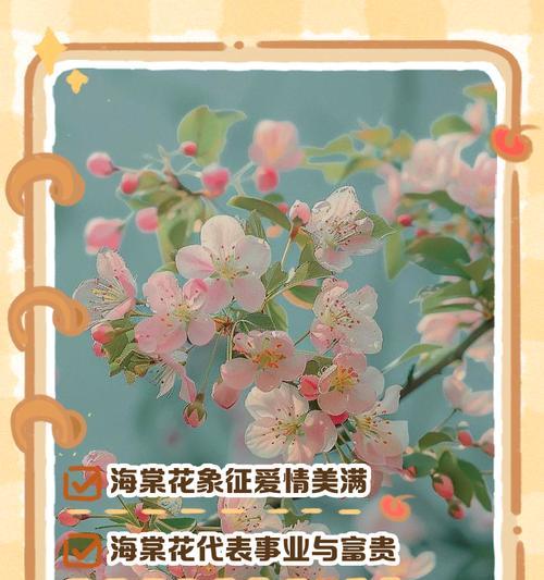 红白色花的花语是什么？它们代表了哪些寓意？