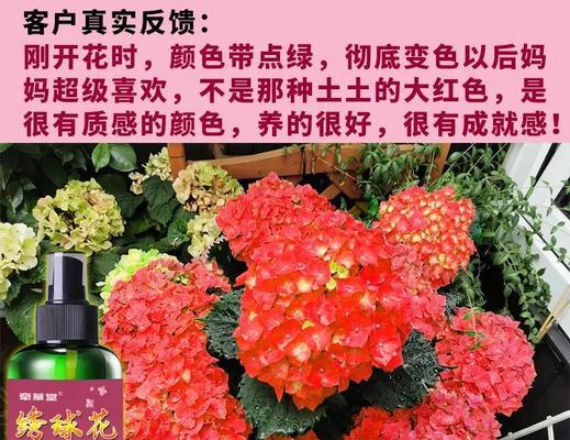 哪种花寓意节约用水？在园艺中如何应用？