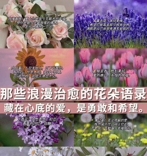 花语浪漫如何解释？它的含义是什么？