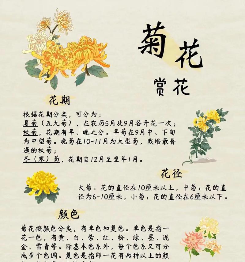 花的文化寓意包括哪些内容？它们的意义是什么？