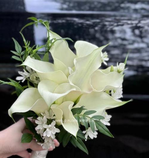 茉莉手捧花在婚礼中代表什么？茉莉手捧花的花语寓意是什么？